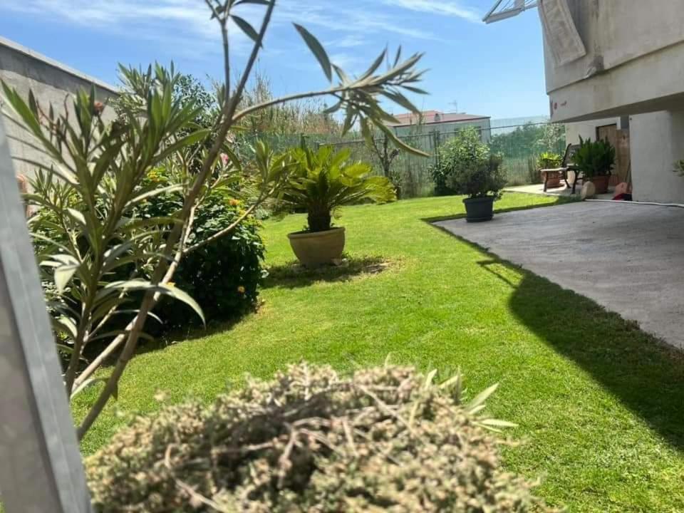 カリアリ Casa Vacanze Federicaヴィラ エクステリア 写真
